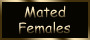 Mated Females