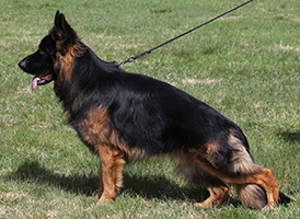 Ragnar