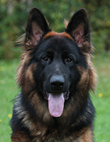 Ragnar