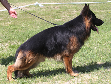 Ragnar standing