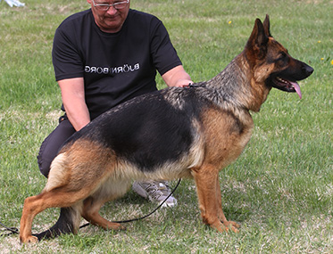 Swix standing